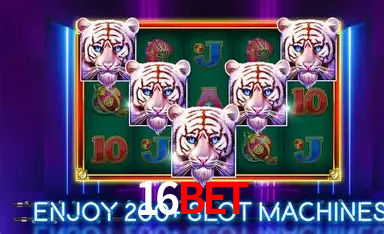 Seasonal Promotions 16bet